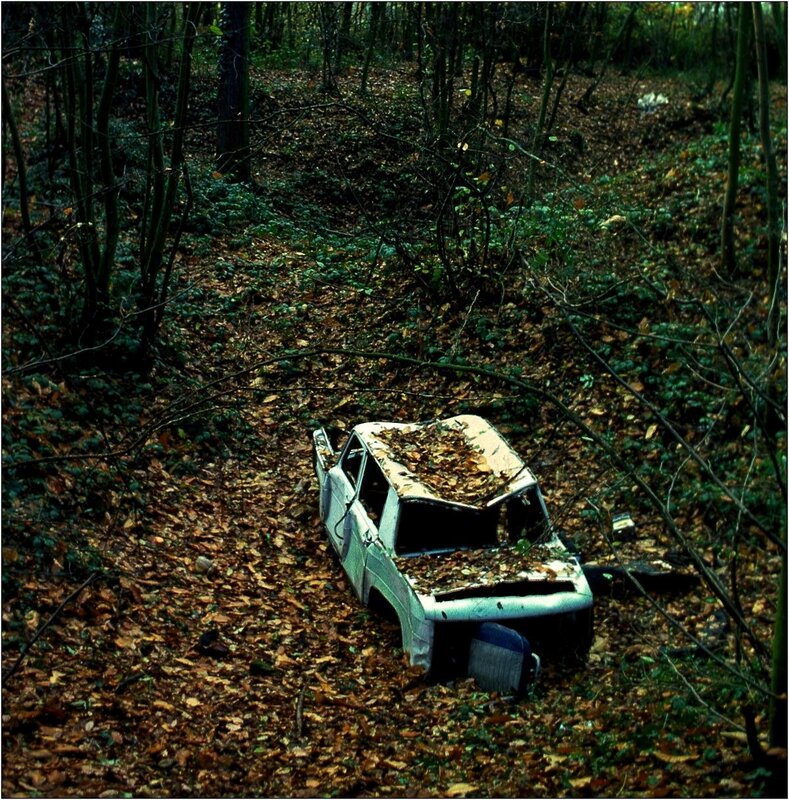 Abandoned car in forest