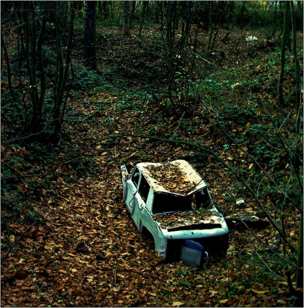 Abandoned car in forest