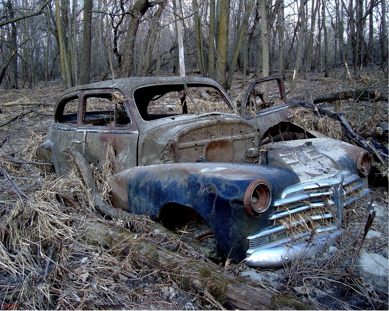 Abandoned car in forest
