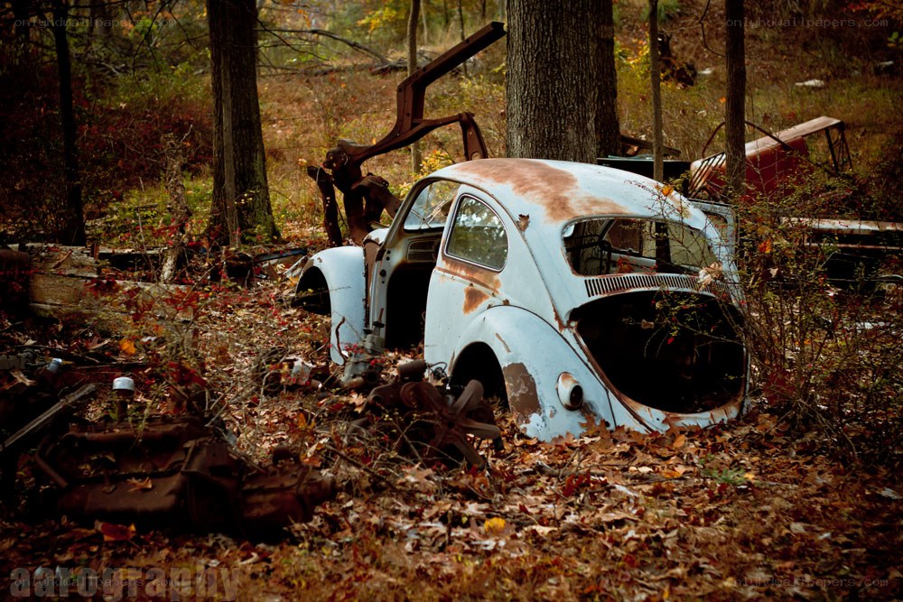 Abandoned car in forest