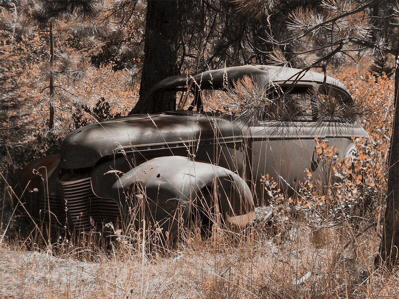 Abandoned car in forest