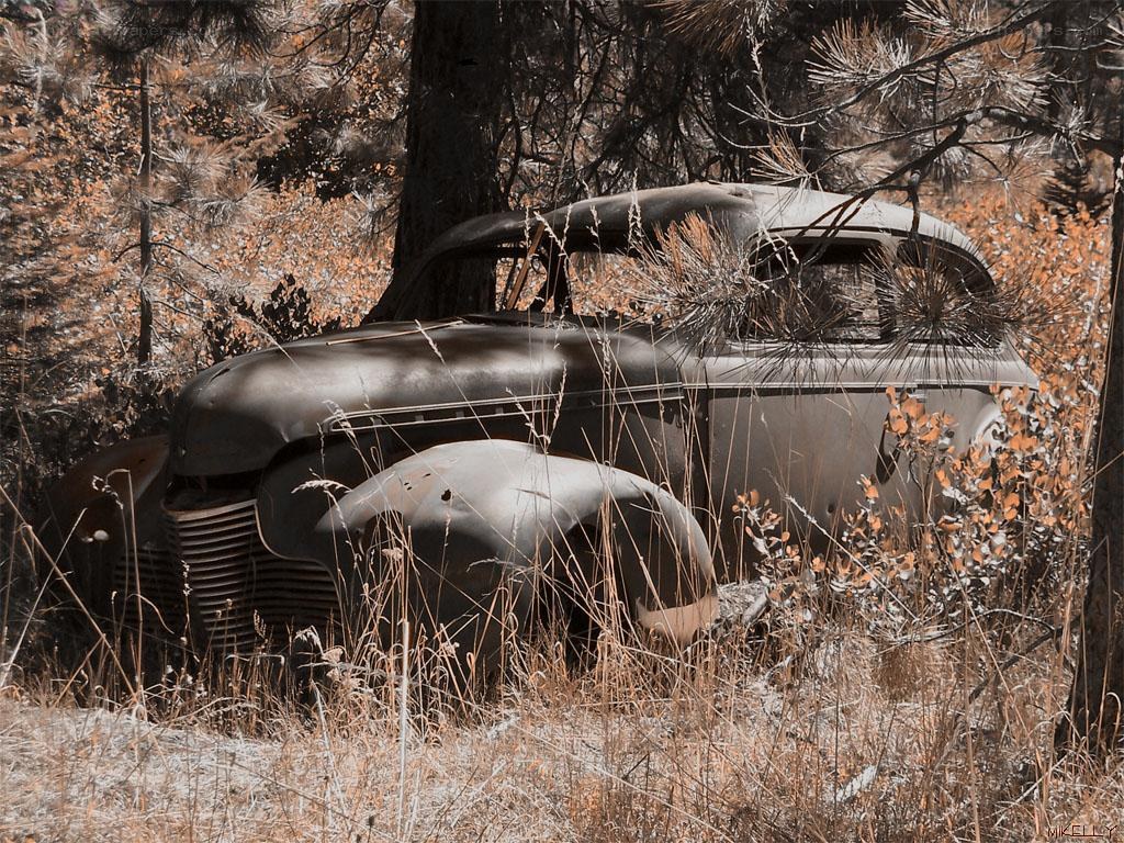Abandoned car in forest