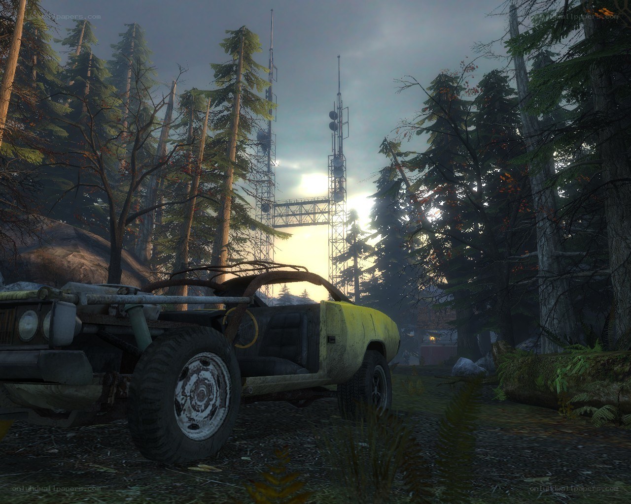Abandoned car in forest