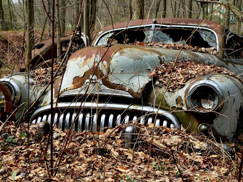 Abandoned car in forest