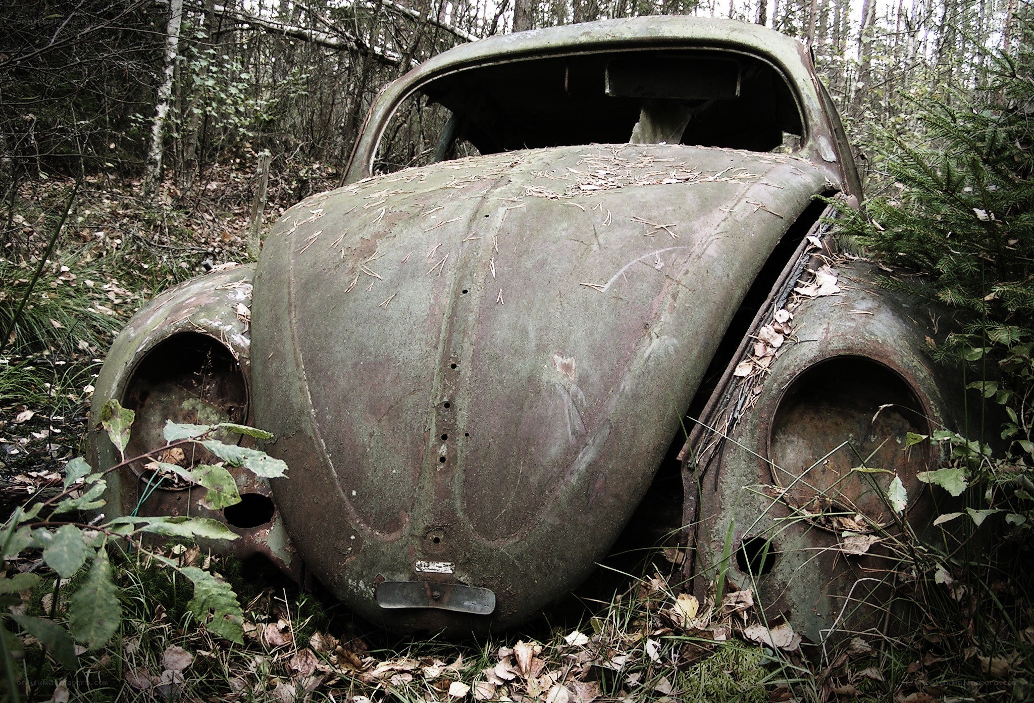 Abandoned car in forest