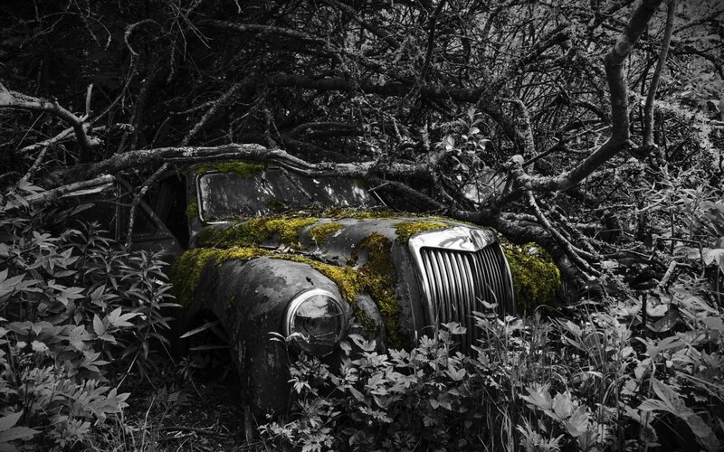 Abandoned Car in Forest — Black