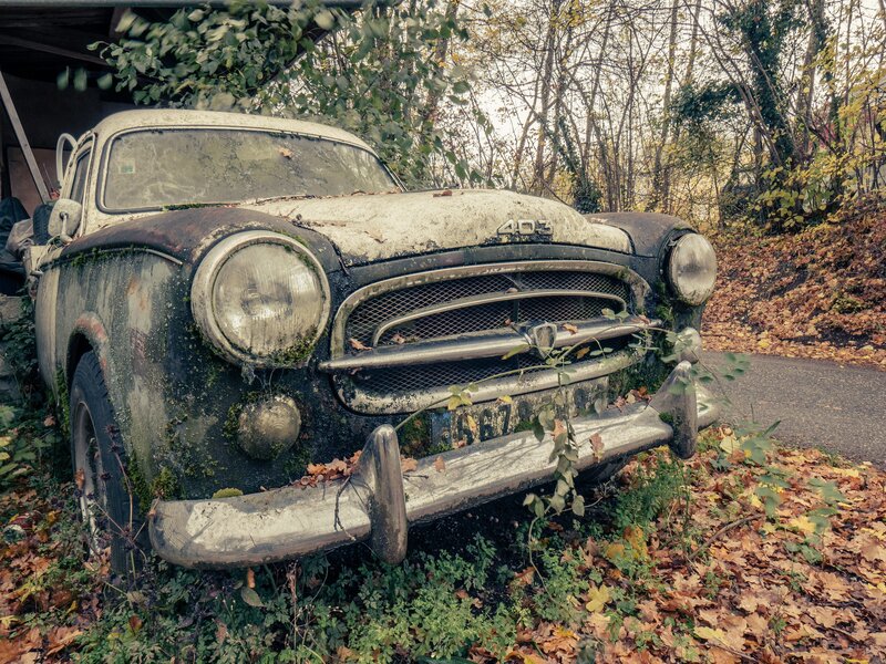 Abandoned Car in Forest — Brown, Decaying