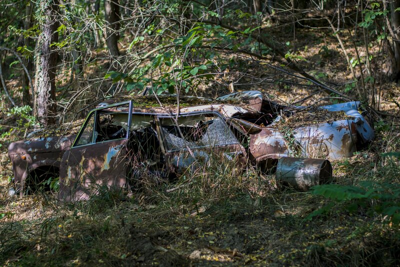 Abandoned Car in Forest — Brown, Desolate, Afternoon