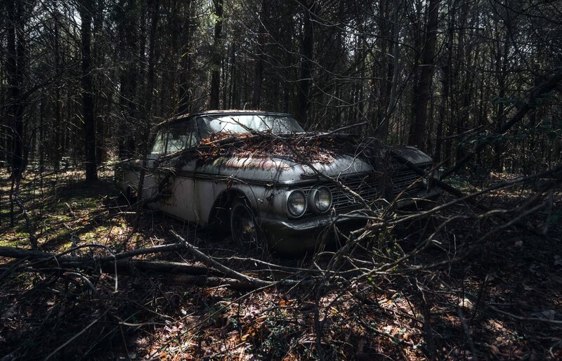Abandoned Car in Forest — Brown, Dramatic, Autumn, Photograph, Trees