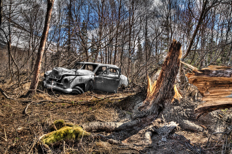 Abandoned Car in Forest — Brown, Dramatic