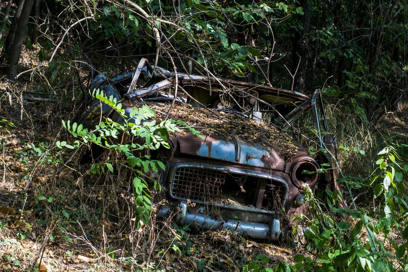 Abandoned Car in Forest — Green, Desolate, Afternoon