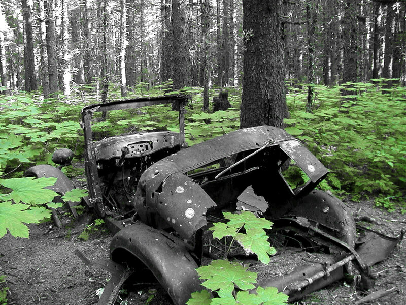 Abandoned Car in Forest — Green, Desolate, Photograph, Trees