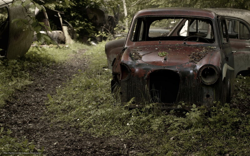 Abandoned Car in Forest — Green, Desolate