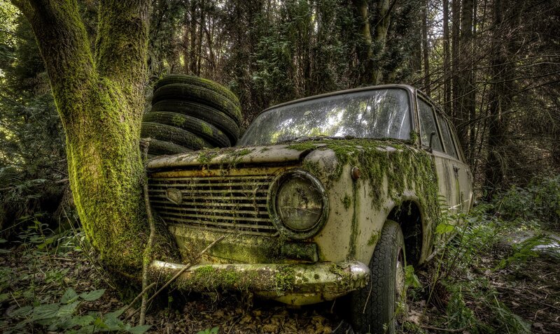 Abandoned Car in Forest — Green, Overgrown, Afternoon, Photograph, Moss