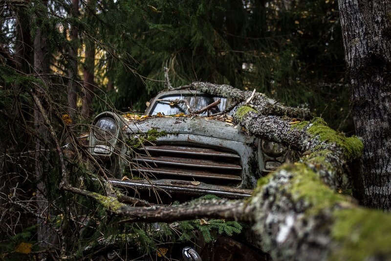 Abandoned Car in Forest — Green, Overgrown, Autumn, Photograph