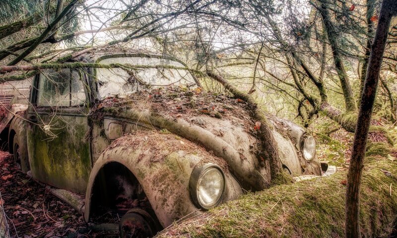 Abandoned Car in Forest — Green, Overgrown, Autumn, Photograph, Trees