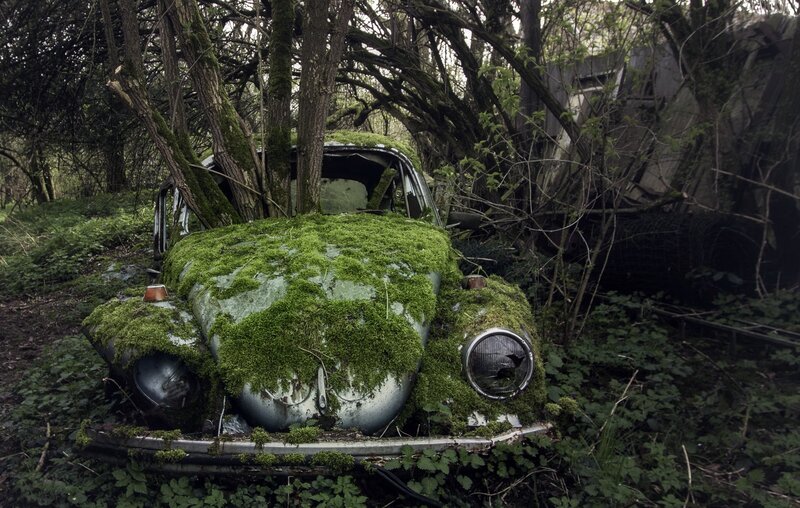 Abandoned Car in Forest — Green, Overgrown, Spring, Photograph