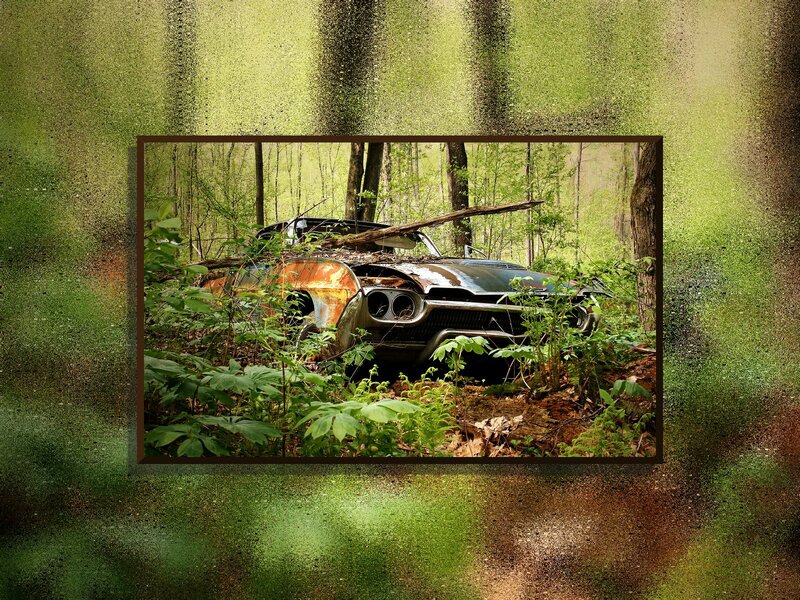 Abandoned Car in Forest — Green, Overgrown, Spring