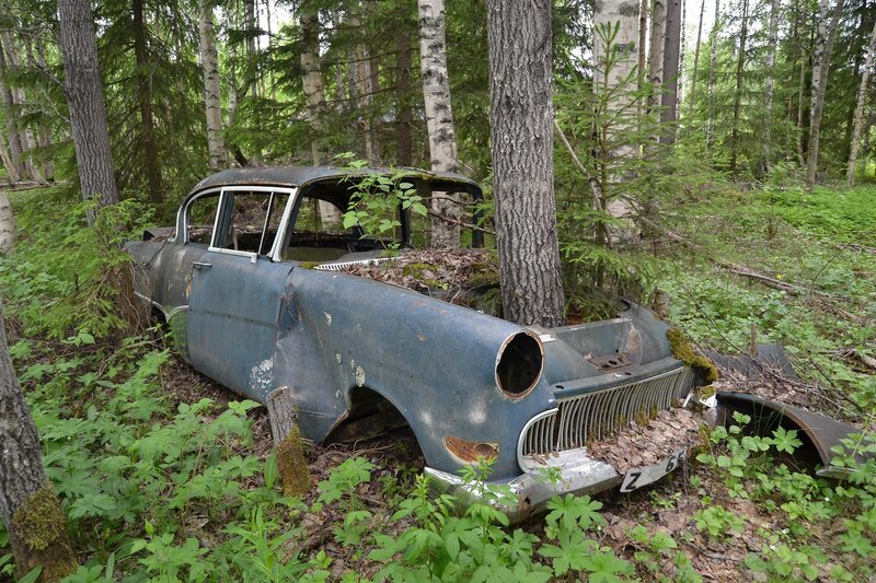 Abandoned Car in Forest — Green, Overgrown, Summer
