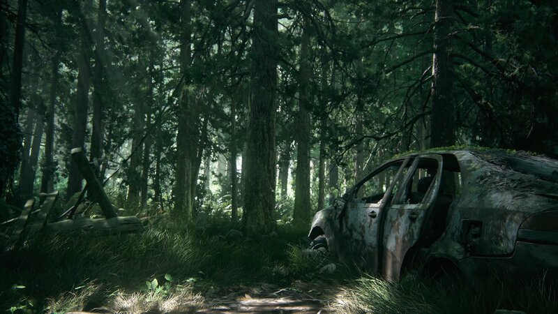 Abandoned Car in Forest — Green, Somber, Morning