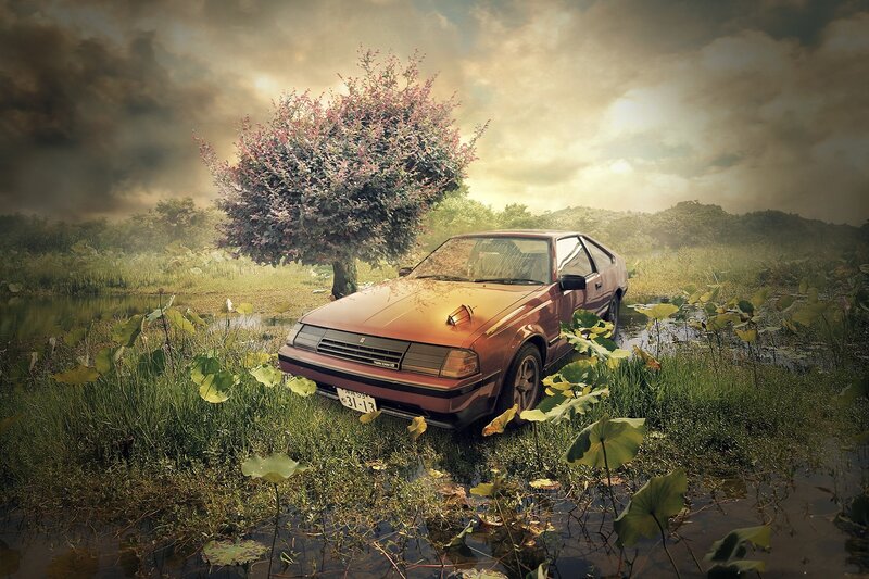 Abandoned Car in Marsh