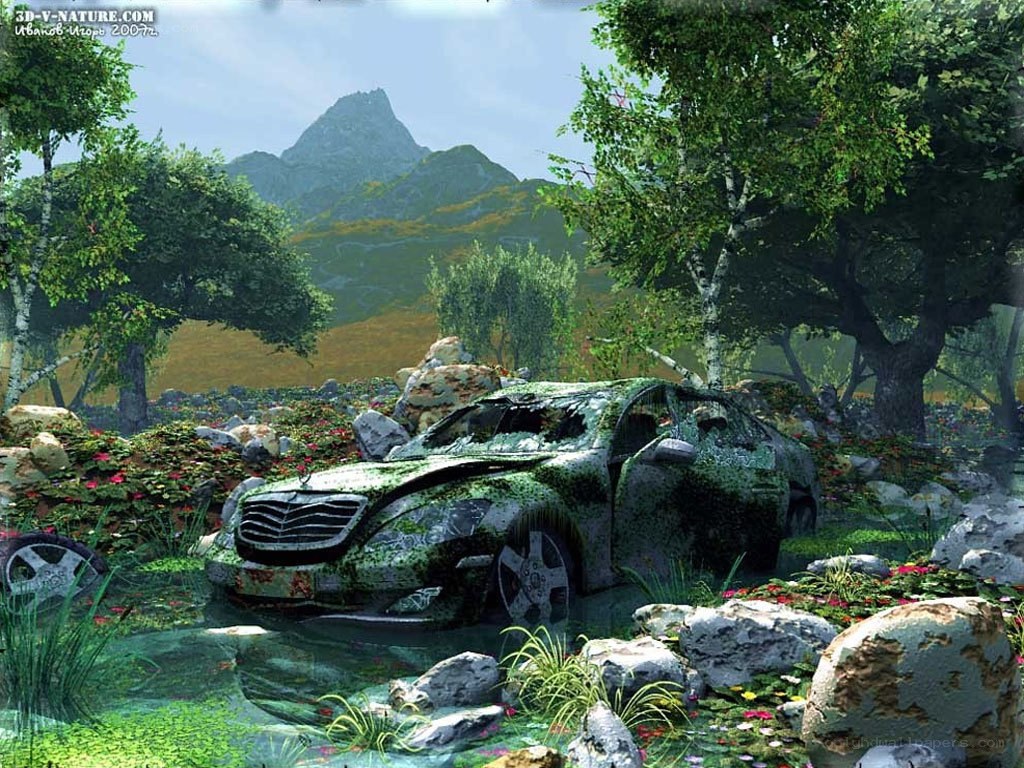 Abandoned car in nature