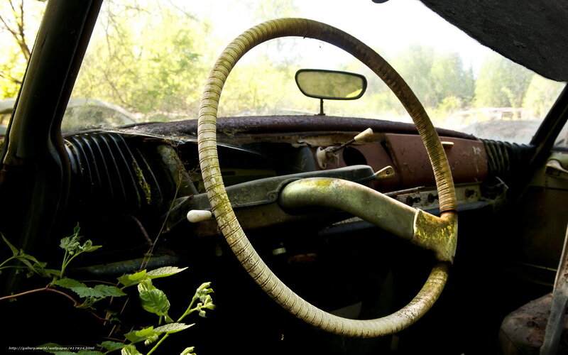 Abandoned Car Interior — Green