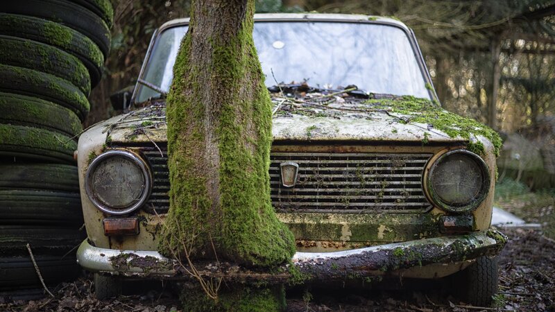 Abandoned Car with Tree — Green