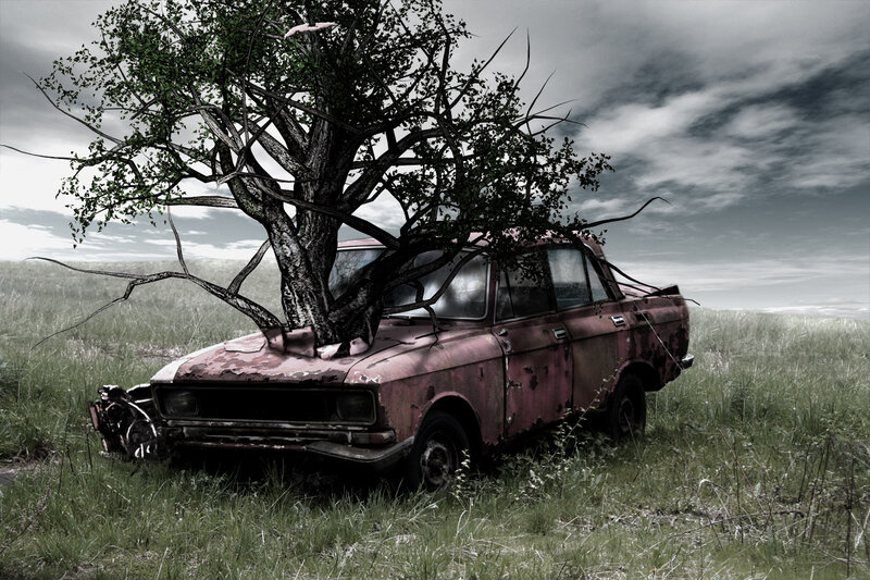 Abandoned Car with Tree