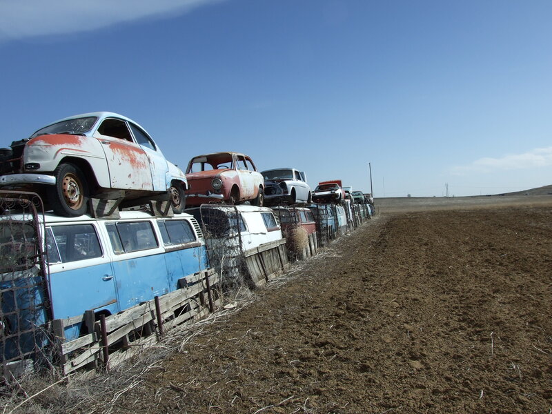 Abandoned cars in a field