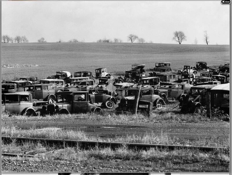 Abandoned cars in a field
