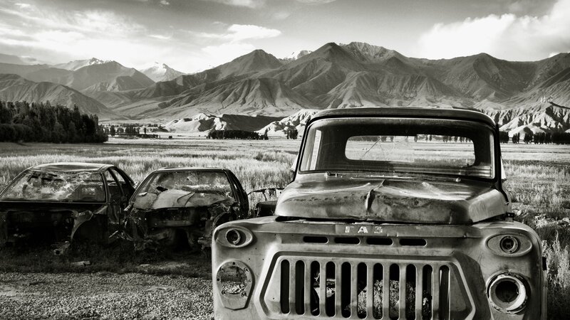 Abandoned Cars in Field — Black