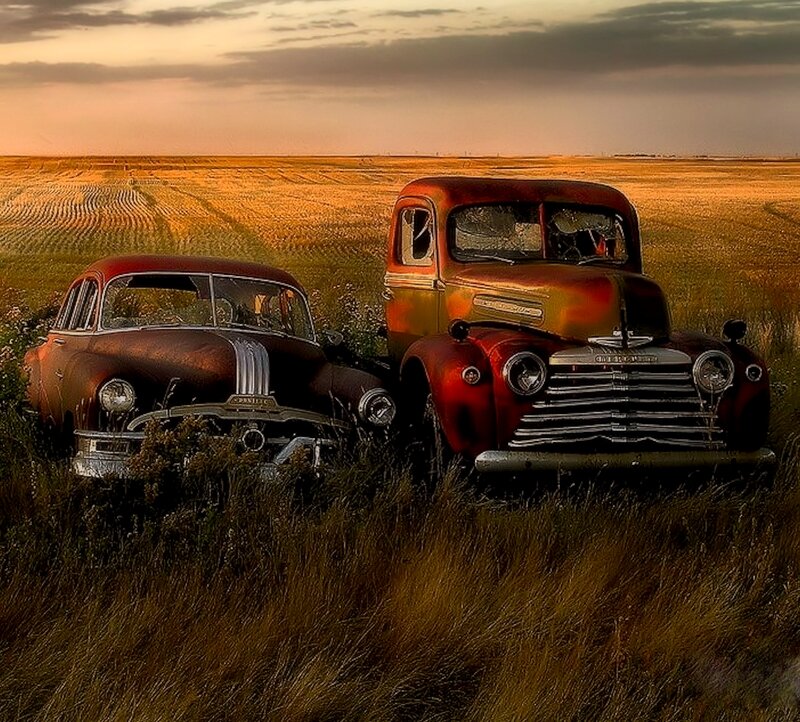 Abandoned Cars in Field — Brown