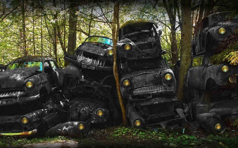 Abandoned cars in forest