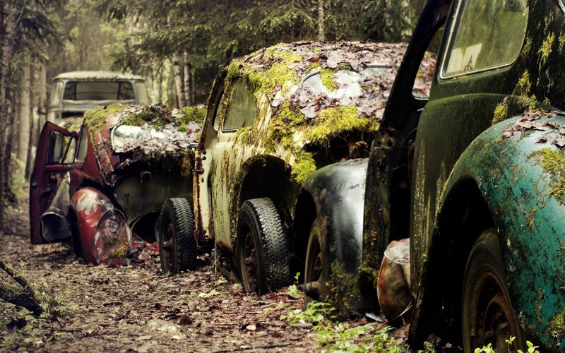 abandoned cars in forest