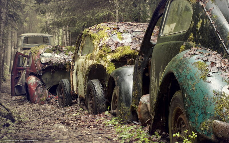 Abandoned cars in forest