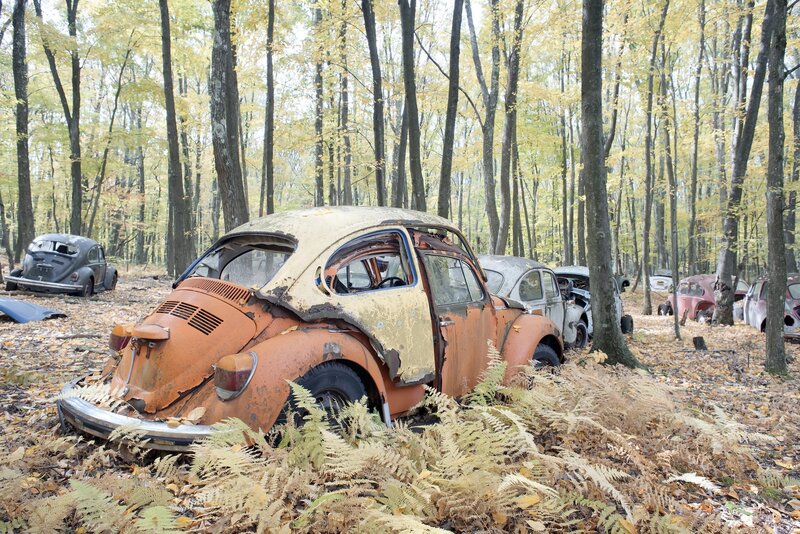 Abandoned Cars in Forest — Brown, Desolate