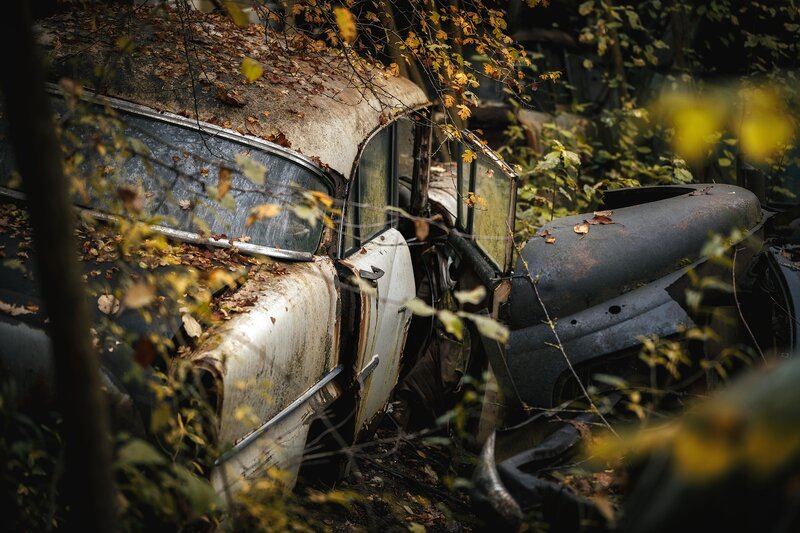 Abandoned Cars in Forest — Brown, Dramatic
