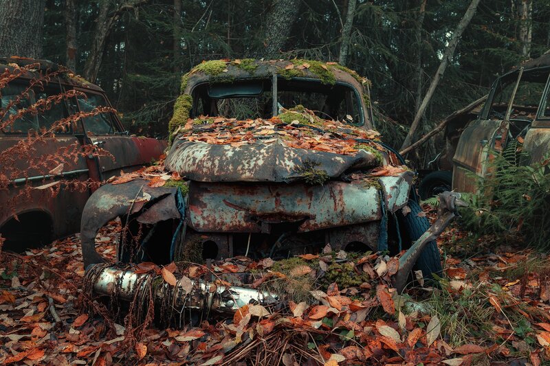 Abandoned Cars in Forest — Brown, Dreary
