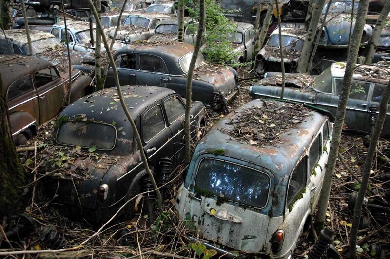 Abandoned Cars in Forest — Brown