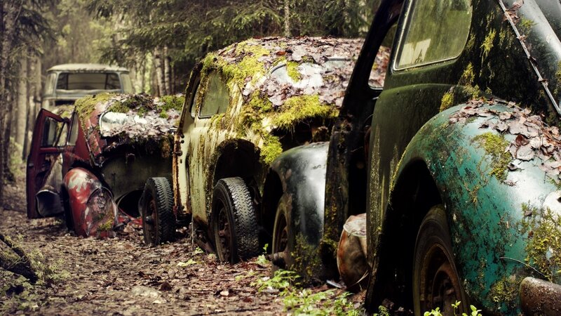 Abandoned Cars in Forest — Green, Decaying, Photograph