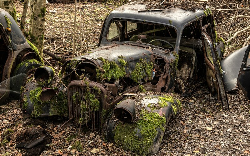 Abandoned Cars in Forest — Green, Decaying