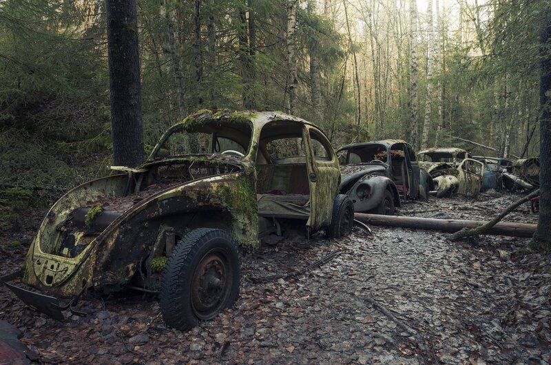 Abandoned Cars in Forest — Green, Desolate, Autumn