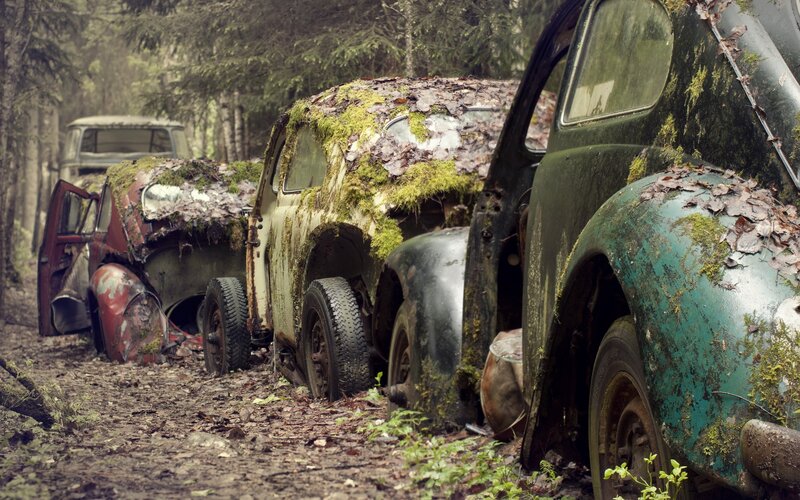 Abandoned Cars in Forest — Green, Desolate