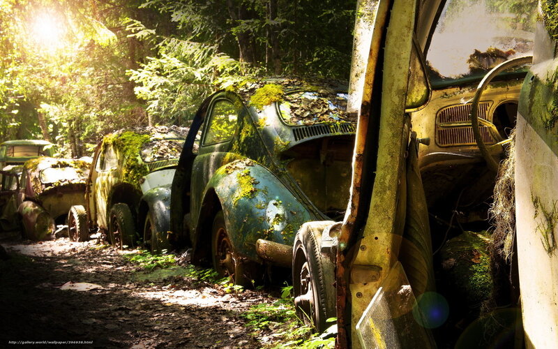 Abandoned Cars in Forest — Green, Dramatic