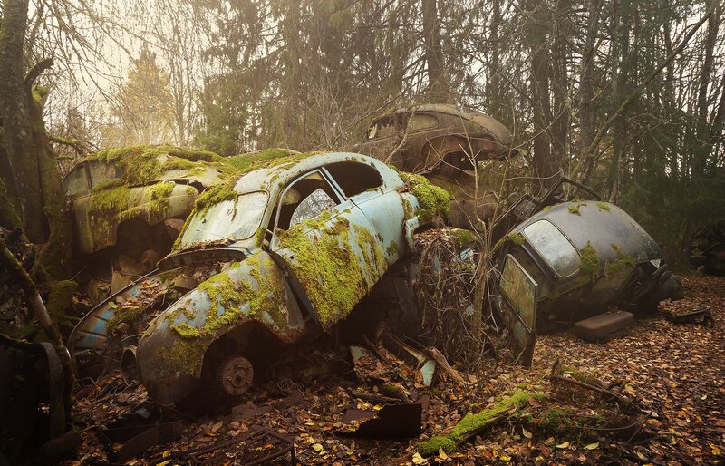 Abandoned Cars in Forest — Green, Dreary, Autumn
