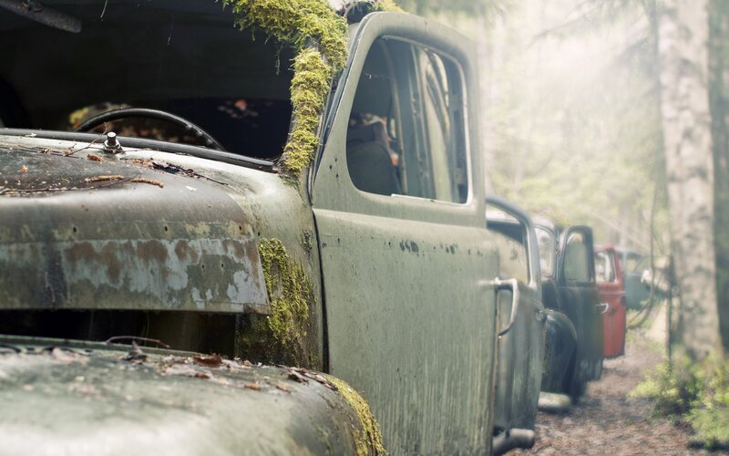 Abandoned Cars in Forest — Green, Dreary