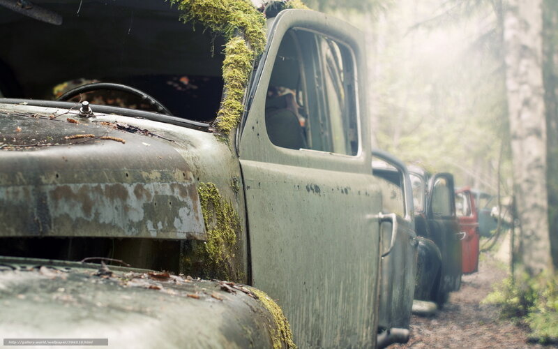 Abandoned Cars in Forest — Green, Moody