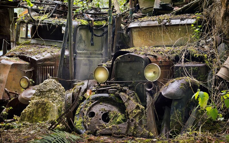 Abandoned Cars in Forest — Green, Overgrown