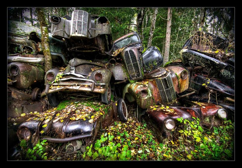 Abandoned Cars in Forest — Green